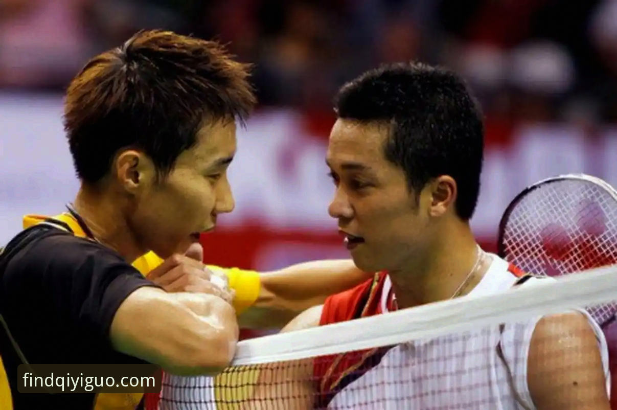 资深球迷分享：在奇果娱乐平台见证海牛13年复仇的观赛心得