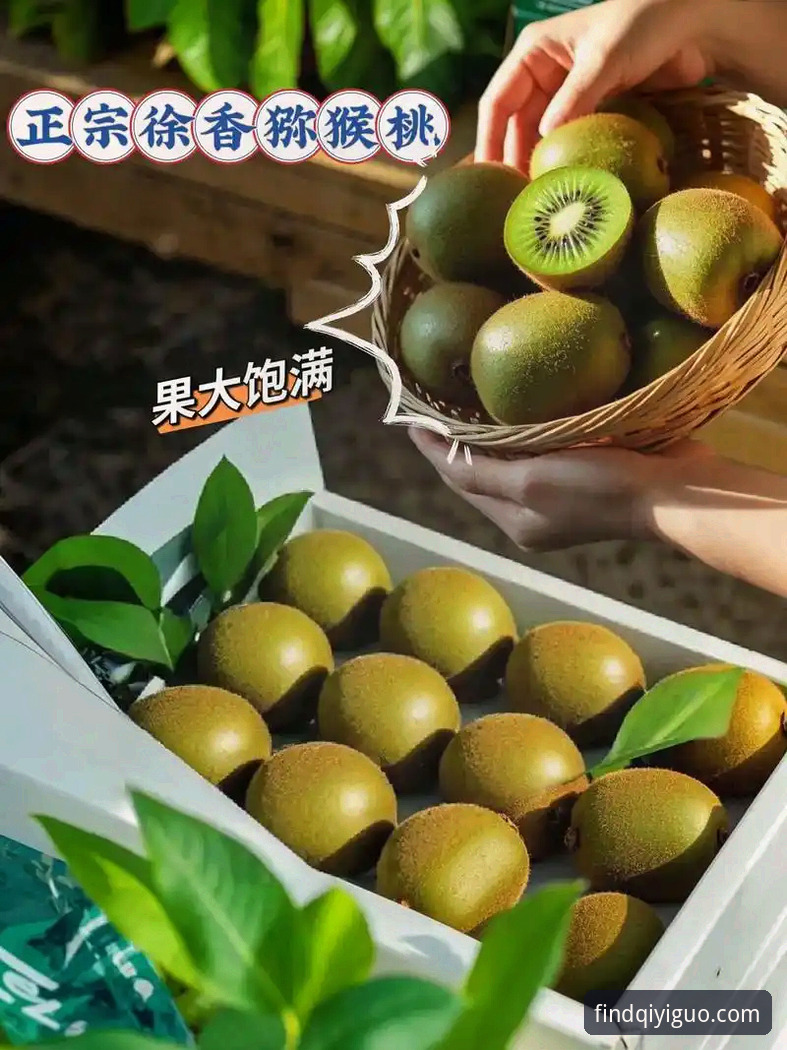 奇异果娱乐官网地址 奇异果娱乐官网2025最新动态:全新入口升级,用户张蕾亲测稳定性突破